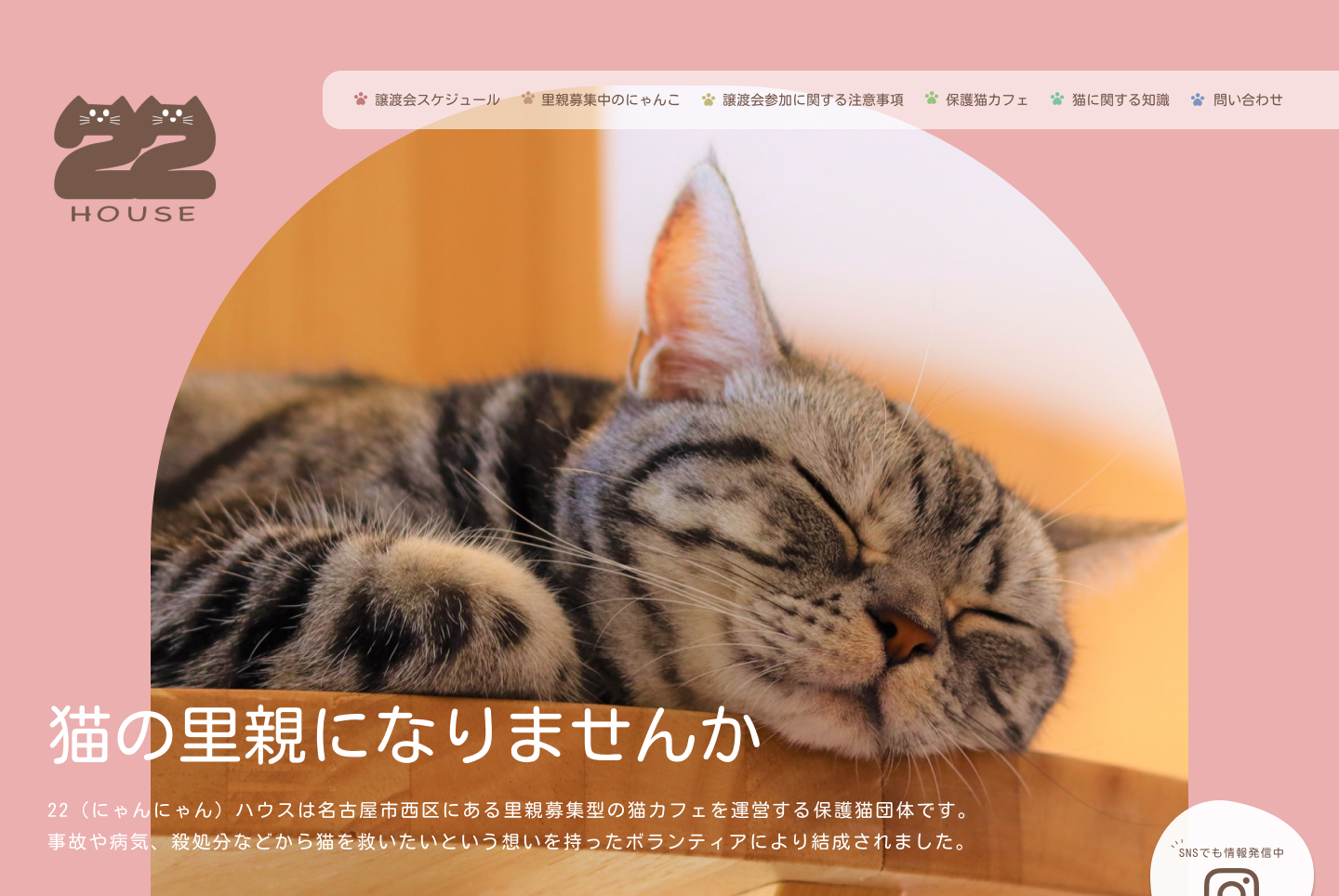 保護猫サイトのMV画面