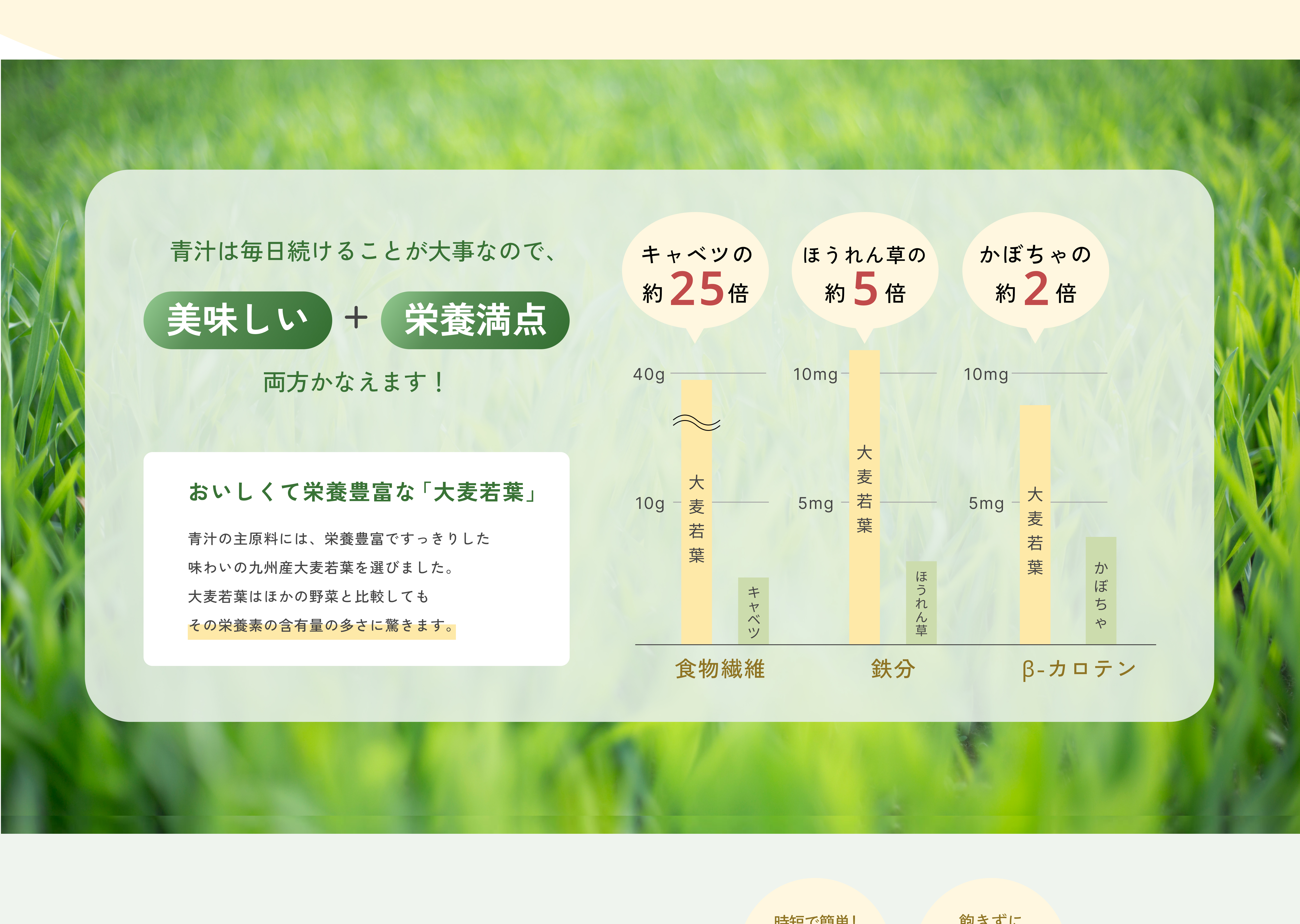 キャンプ場サイトのactivityのページ