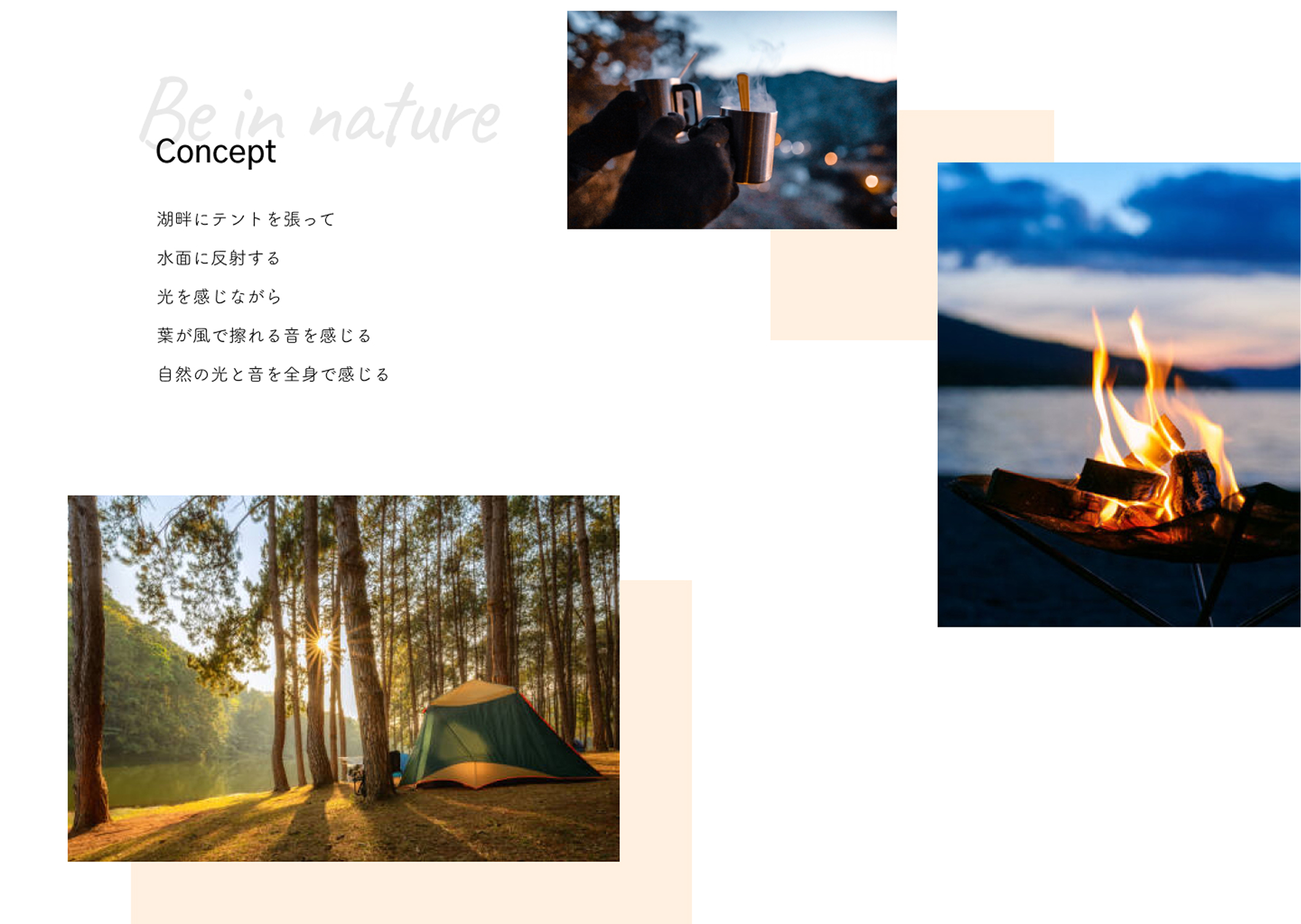 キャンプ場サイトのaboutページ